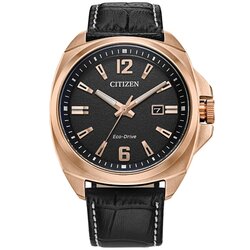 Reloj Citizen Endicott